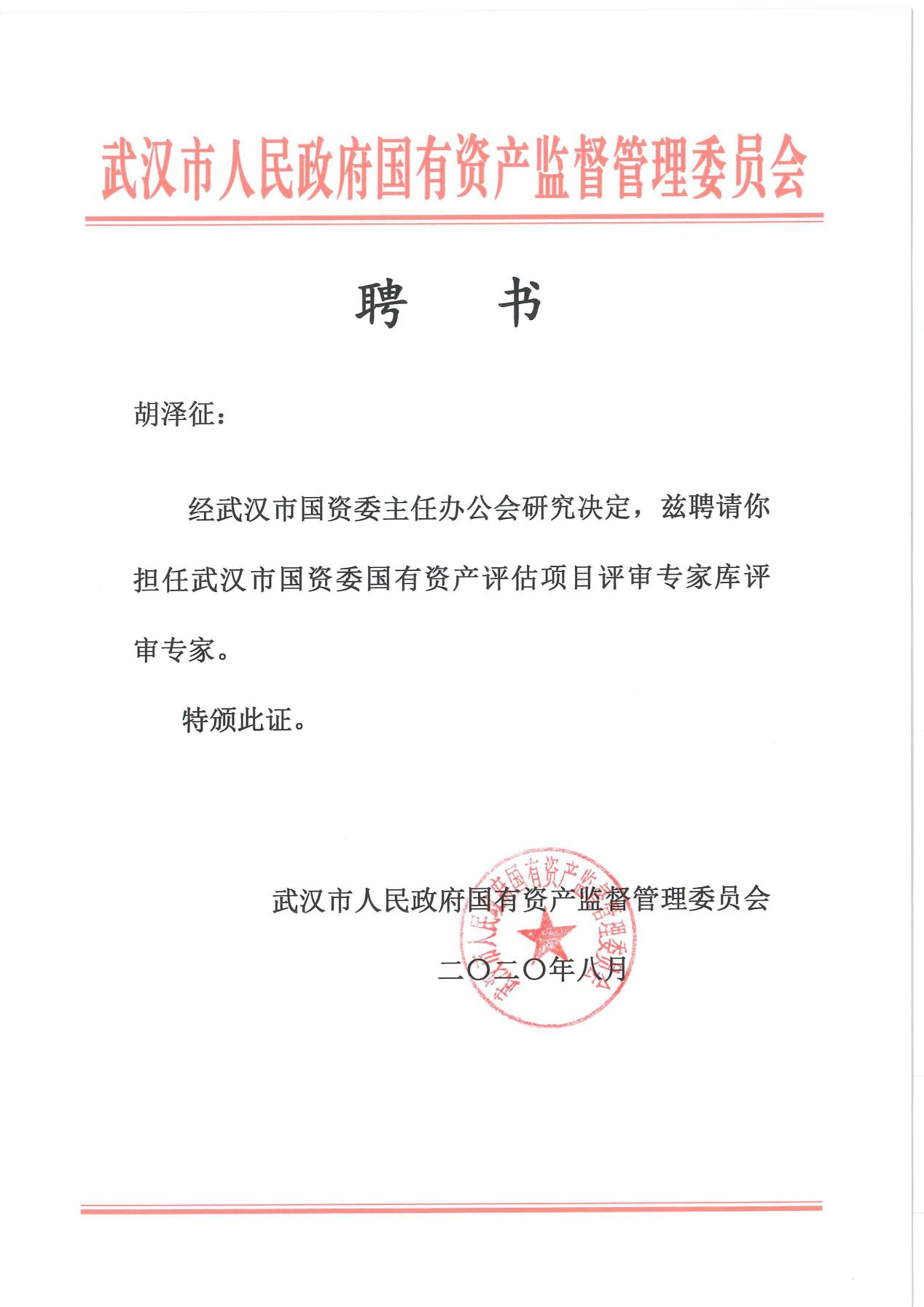 武汉市国资委专家.png